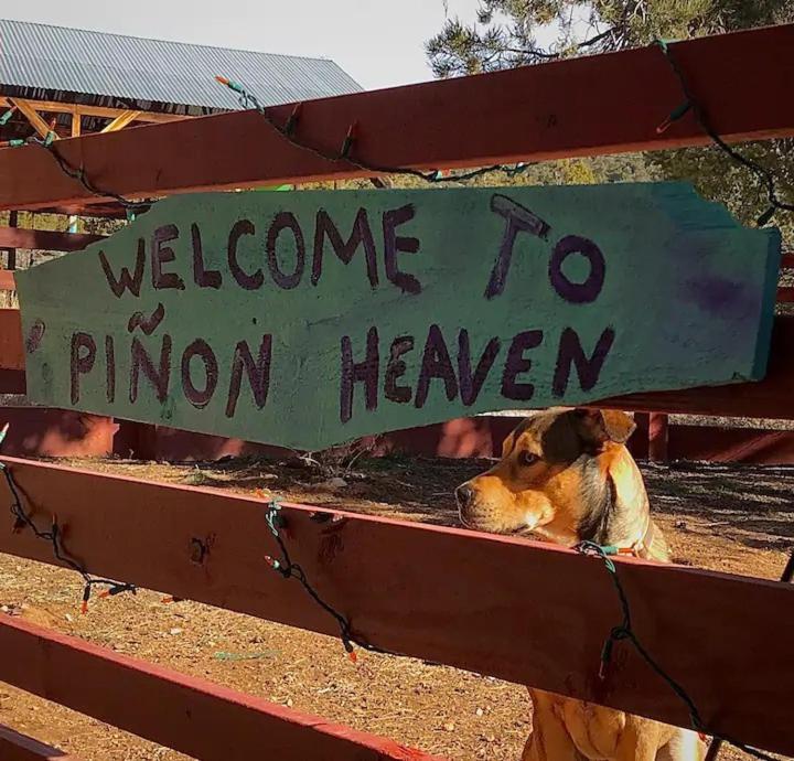 Pet Friendly Pinon Heaven Bed and Breakfast Canada de los Alamos Εξωτερικό φωτογραφία
